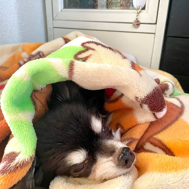 29a83a1f 8556 4c9b acda 14de5ae5b68d 1734747143966