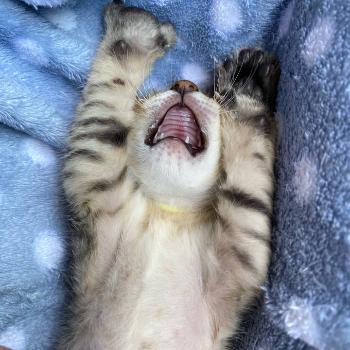 29a85284 ec32 4139 a99c 04608a55a9dd 1620623067647