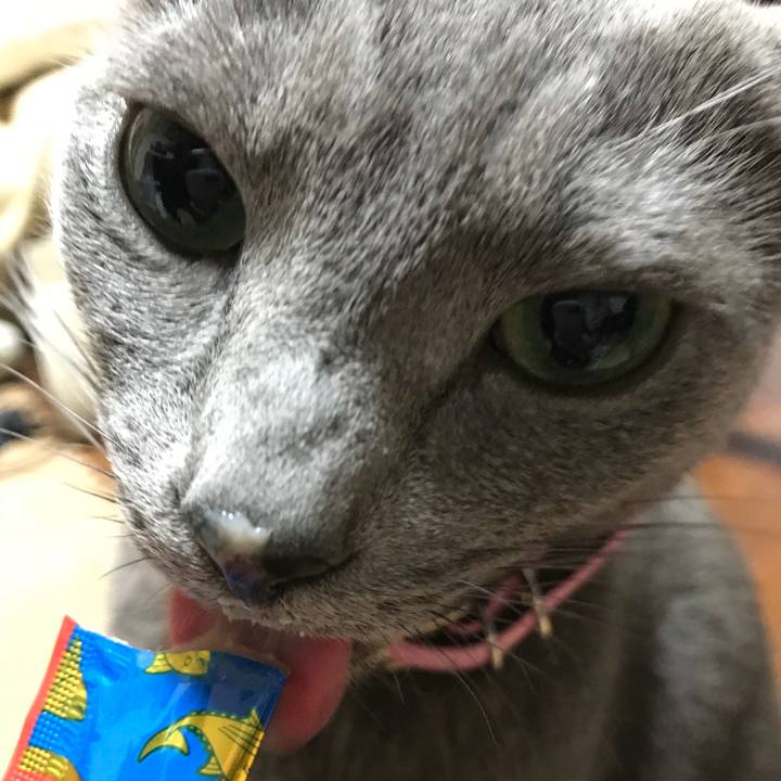 29a89d48 4df2 4cf2 8d2f 8eef1da17125 1514101561932