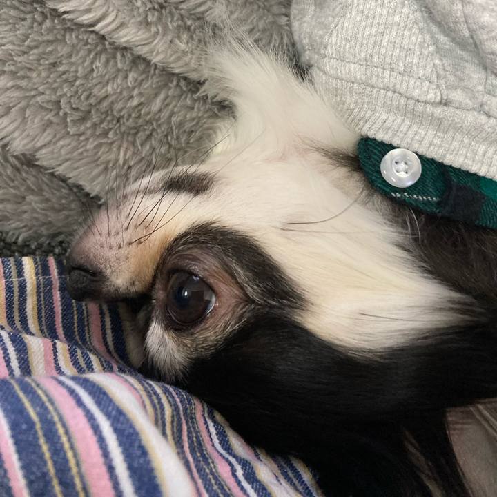 29a8a8ad 410e 4fdf 9615 dc62a678ddcb 1639198544715