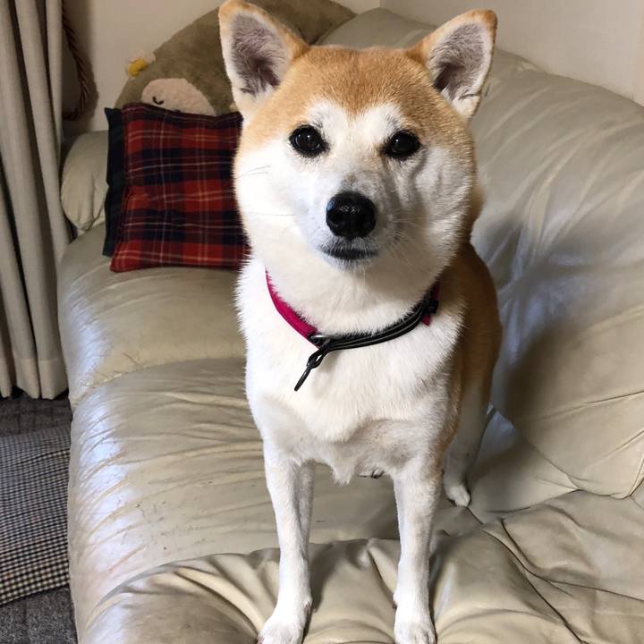 29a8a9ee ab76 4ddb 9470 d190c9318e40 1541723354615