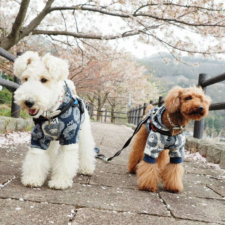 29a8c168 05ef 4948 9c31 d61dae62b317 1523170567558