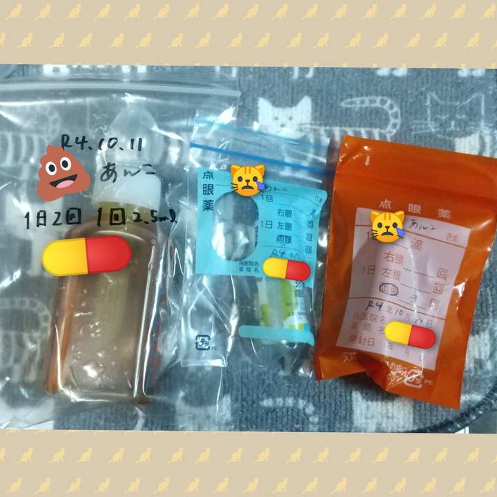 29a8c977 6410 43cc 905a 0dc238923208 1665484581021