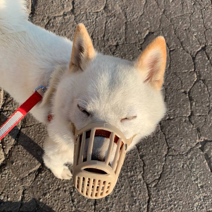 29a8d043 99ee 4c14 83cc 2186121e6227 1560202989331