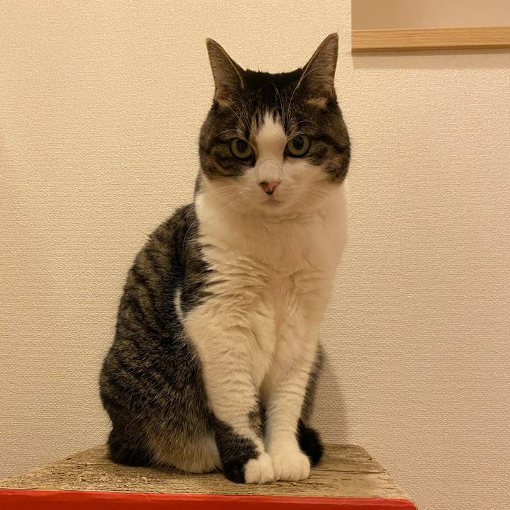 29a8d0c9 0c94 4060 834e b8e45737ab0b 1667049194811