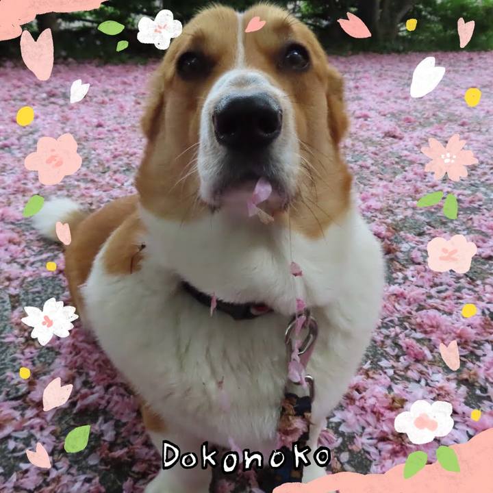 29a8dbf2 7f04 4279 8104 814749241e34 1711499412535