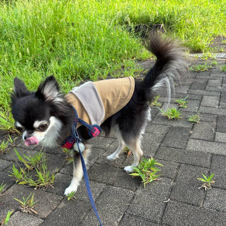 29a8f255 f083 47c5 8c27 7c05e1c4b5f4 1722700912143