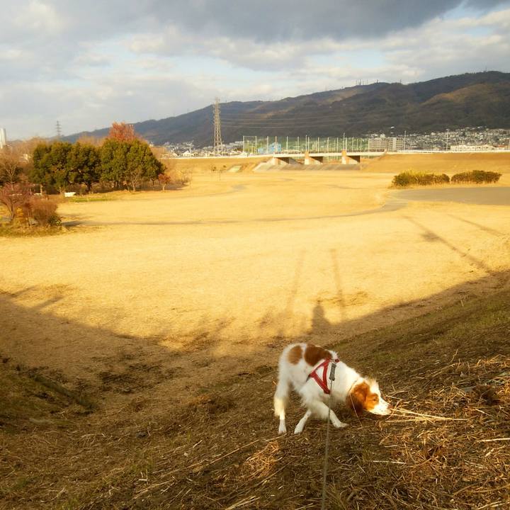 29a8f2df fbd4 498c b264 9ab1fb1813c3 1547713293599