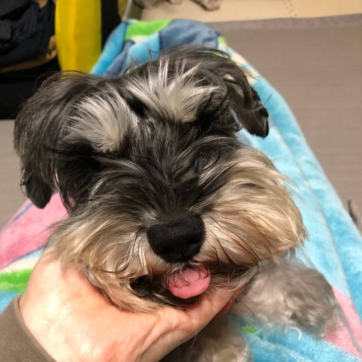 29a90bd0 3e64 474d 88c1 2289b813d8e0 1576137487254