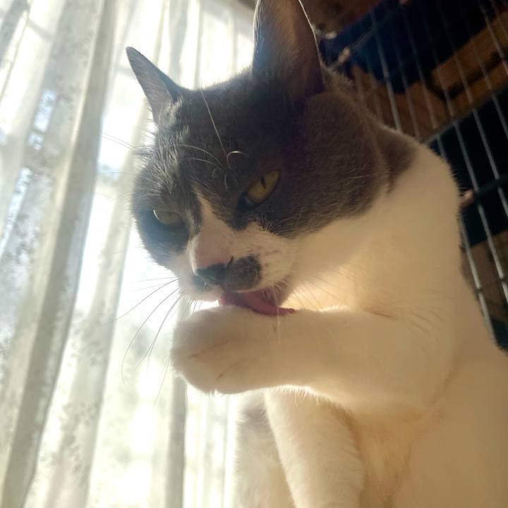 29a9157d 6b21 4eb3 87d8 64d8aea3cc3e 1735608187398