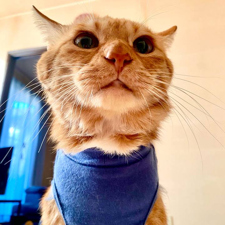 29a92a06 af12 41d5 9e1a f3a89ccec83d 1765160663939