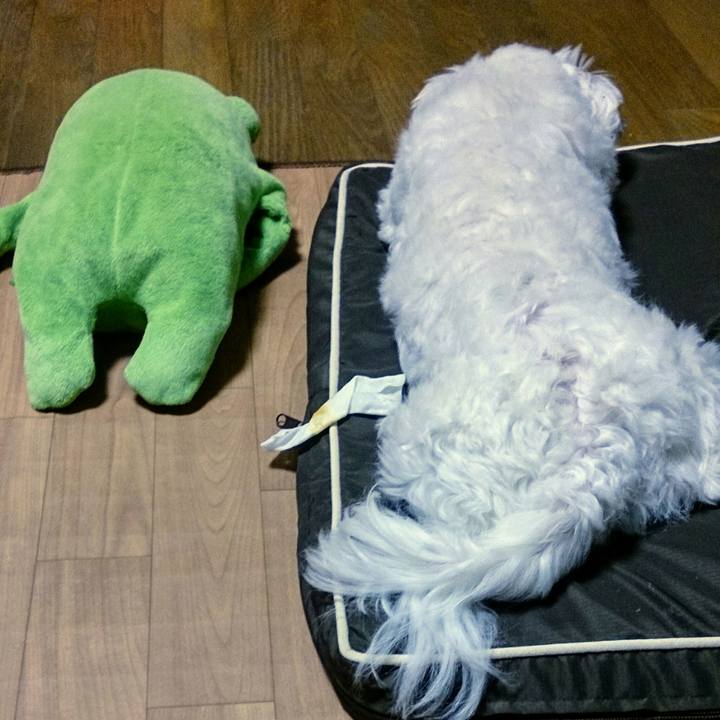 29a92f28 97a5 48fc 9efb 96e653b57a0d 1525959268904