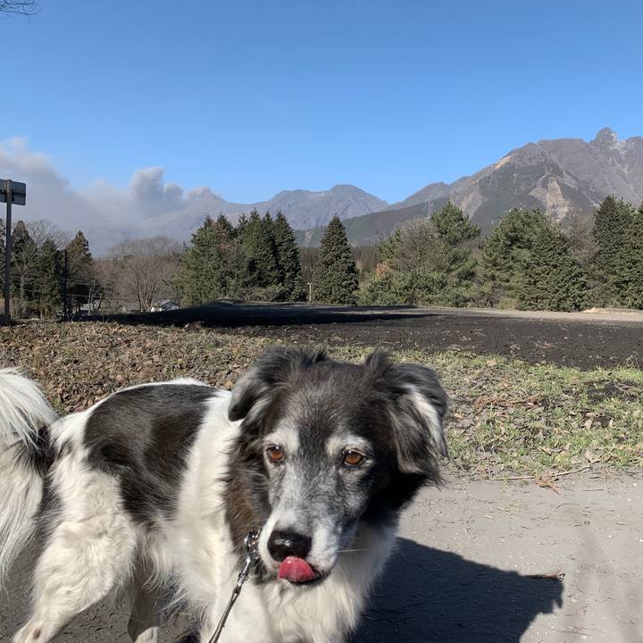 29a95f30 8e90 4ec3 996c c0981582135c 1580985127286