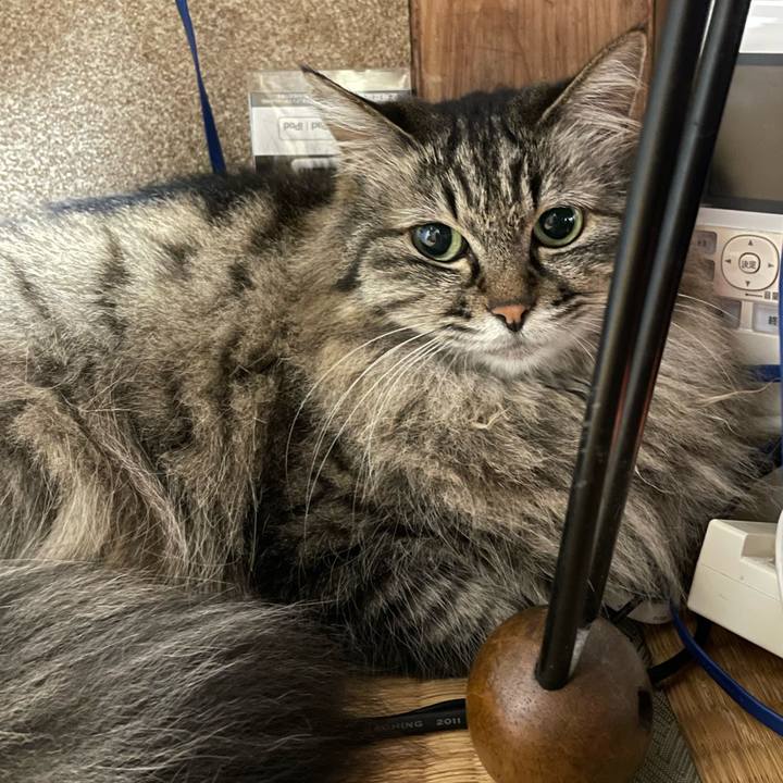 29a97dfe 4ea1 4bdf a98a ab9d00ebdefd 1747300292352