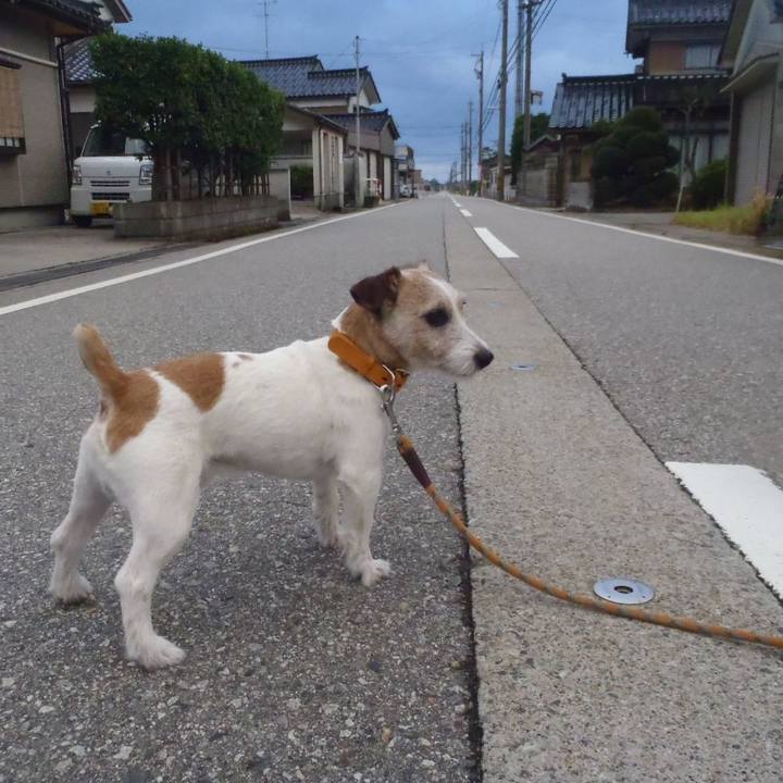 29a9816f 61f9 4bf0 970a 7b53dd9edda2 1534077790694