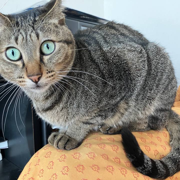 29a9f648 b838 4190 a094 58ab0f6149c2 1763764525065