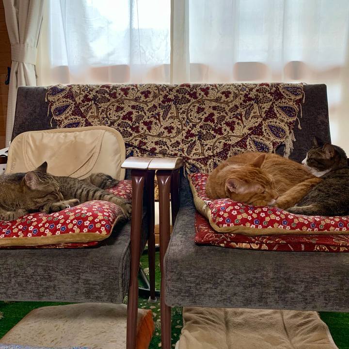 29a9fdf3 4532 4a40 9d81 9db0e17e6fc3 1626917812045