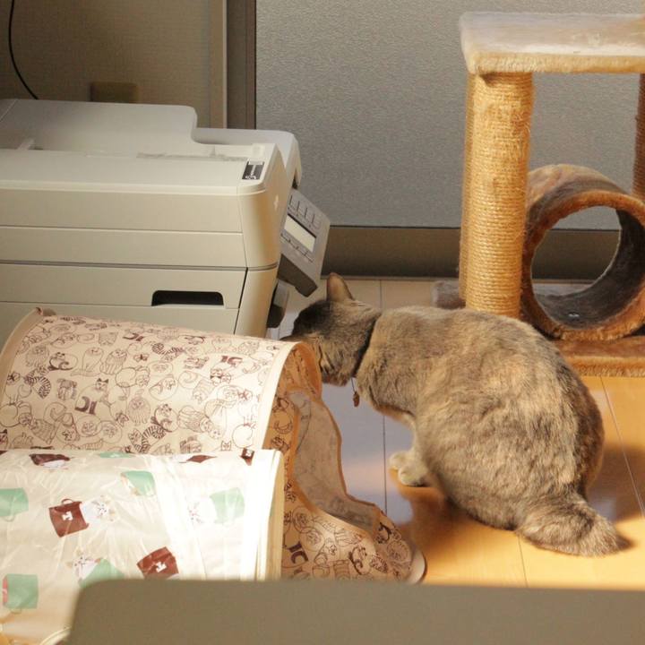 29aa4457 07e6 4749 842a 5027a0dca7df 1573443757910