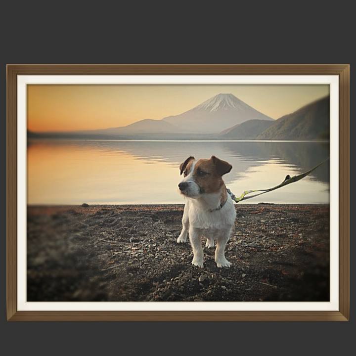 29aa59ee f527 4c8f 94dc 77e772d53083 1524829709552