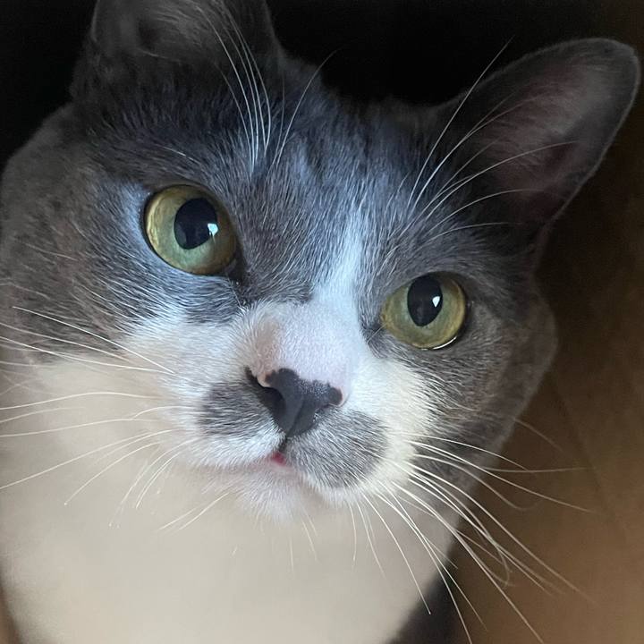 29aa61c3 3f8f 4eb9 ba10 86de8601d619 1737789637802