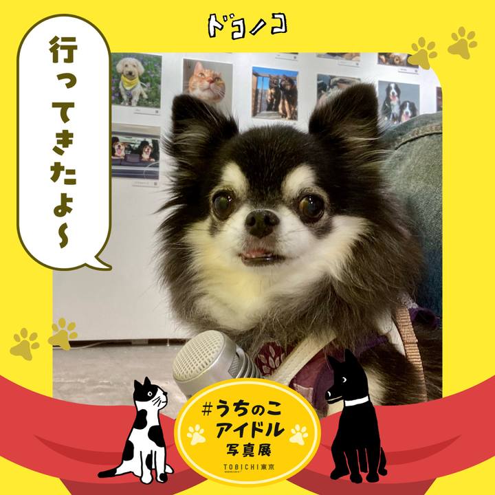 29aa83d8 7d2b 430d 8f7d 71c4fb88bffb 1761207244462