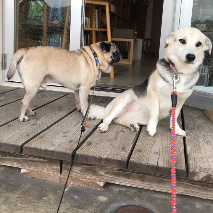 29aa864a 6a10 4fef 9db6 181bfb112aed 1514294045696