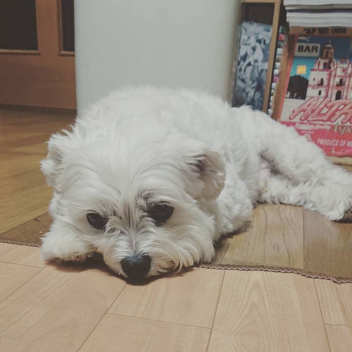 29aab929 8458 481a a1d5 ba5866d8aad0 1572002040433