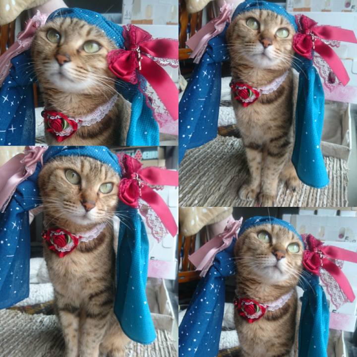 29aac45d 2fc9 444c 97a4 787f163ebd42 1769038287310