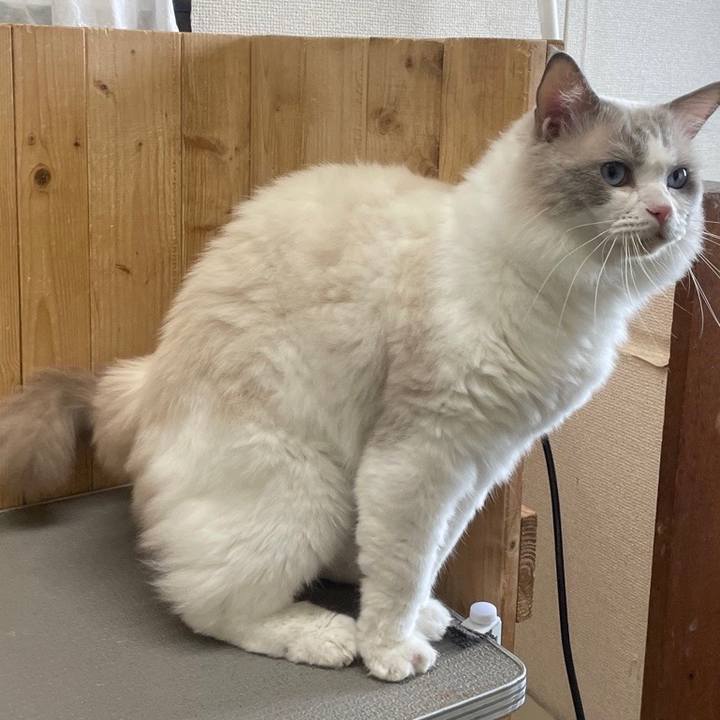 29aae94a 061d 4c7a 81e7 66b642e17d4f 1658072569157