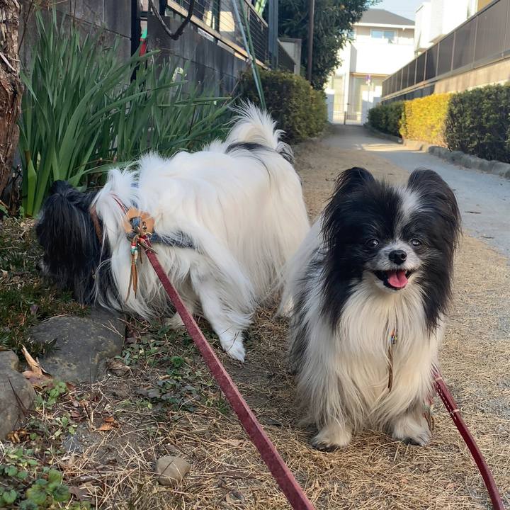 29ab24f5 da9d 43ec bed6 525a0867d83f 1610777057669