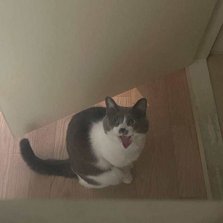 29ab44ce d1d7 41a8 923e cd6676e30611 1702970939105