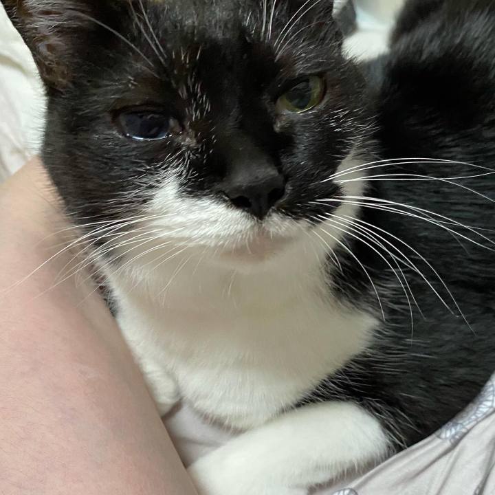 29ab5435 f52a 4b5f bcc5 a02aa3c017cd 1662458070355