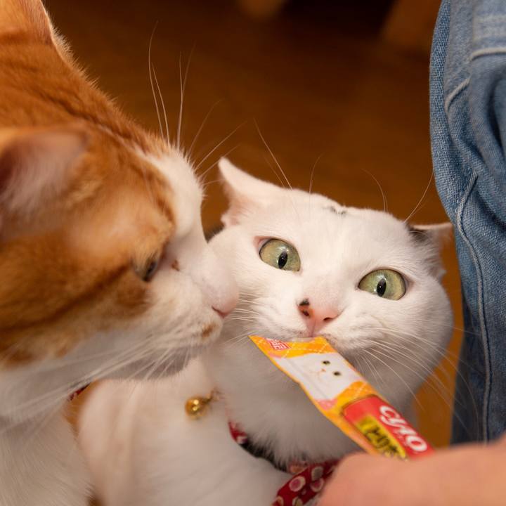 29ab67c0 5316 47e9 a5cb 53e2fd690b10 1546321443473