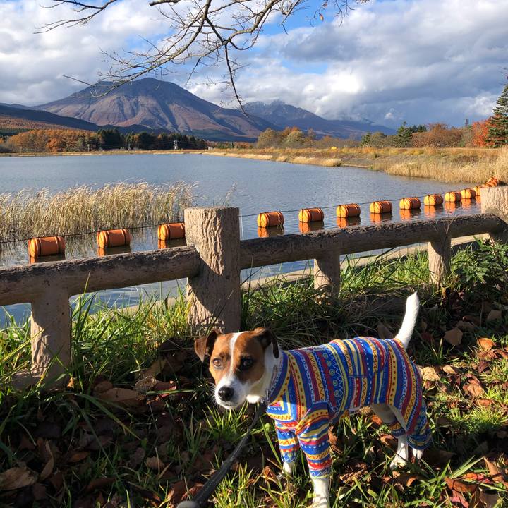 29ab746b 7892 4237 b224 86406f0cfe57 1573728315973