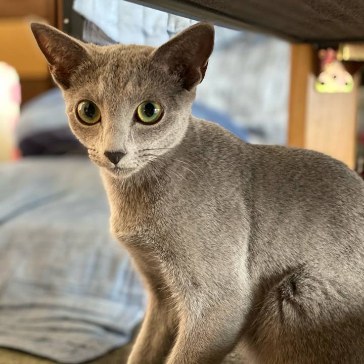 29ab7f86 5ef0 49ff a726 54da37a85232 1606091696528