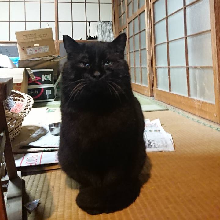 29ab9016 2daa 42a5 ae44 3bb93d5191ba 1616842567788