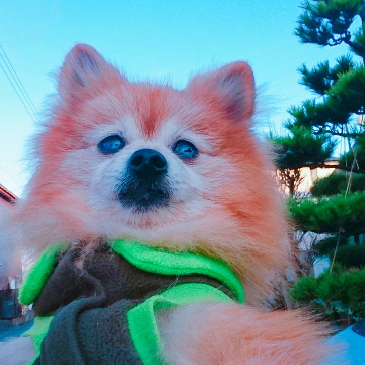 29ab965d cf68 4506 a100 917b32f0e403 1576277222620