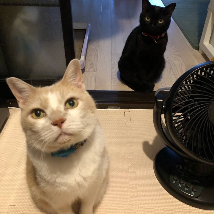 29aba3bb 073a 4fef 8f22 08185925b834 1627811905252