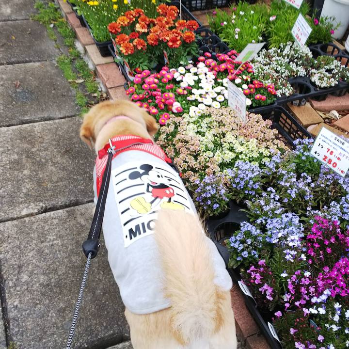 29abd32a 98db 43bc 957c 48930b638424 1521426934430