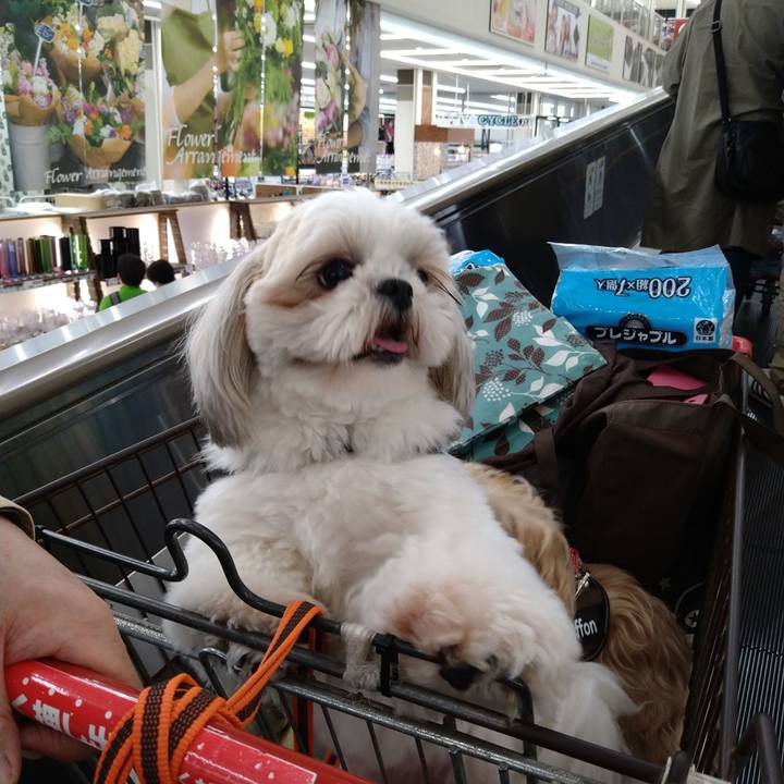 29ac0b67 fb41 4914 bfc5 a73bd78b6bdb 1618647327107