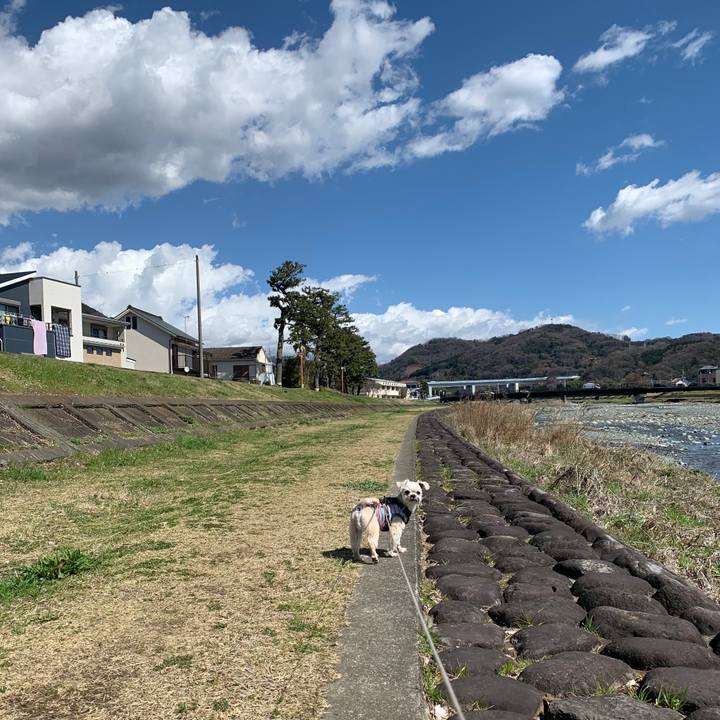 29ac1393 a97f 49c0 b99a 7a7f812b47bb 1583925089279