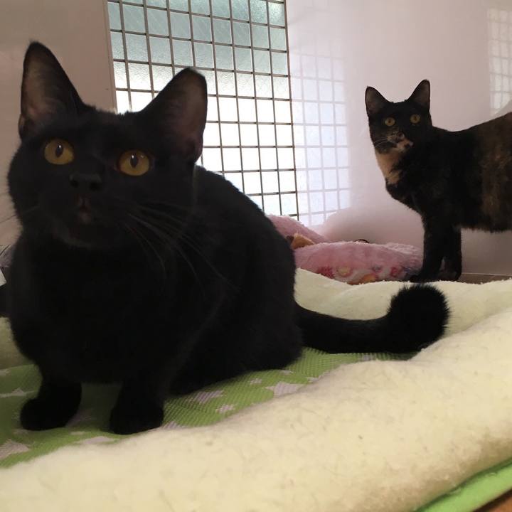 29ac3b19 521d 4ff0 8fca 937c86897576 1518866098195