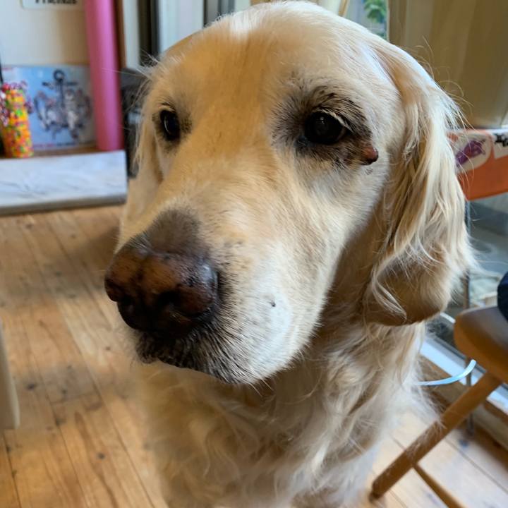 29ac41ea becf 4c26 a7c7 73a4c065d536 1557401275480