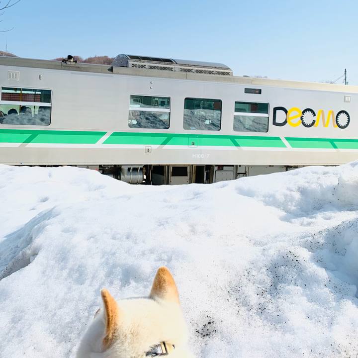 29ac5594 1fc5 4d14 893a de69755b1ed1 1616286590938