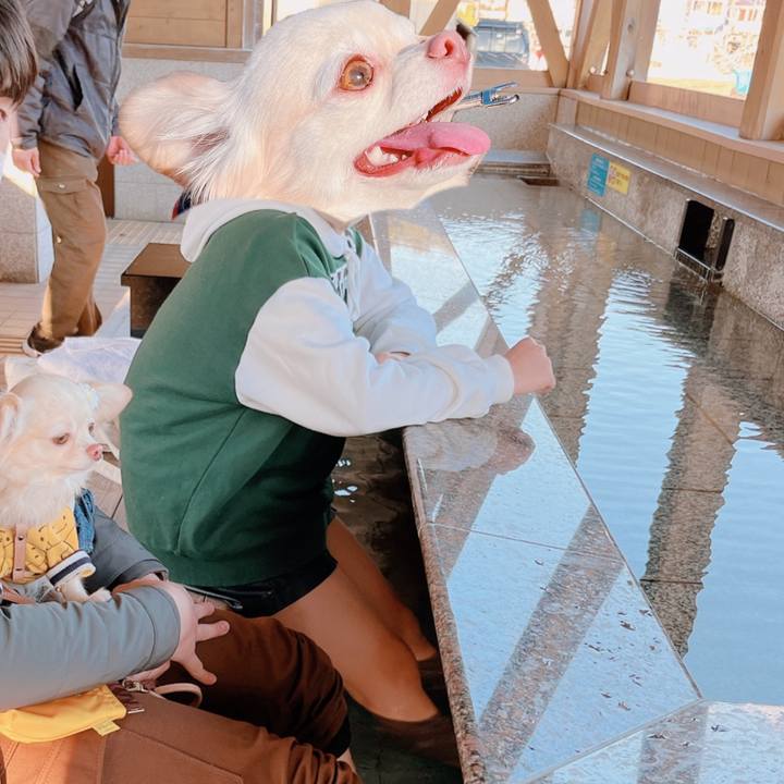 29ac5db3 1146 4cf7 8ef4 7e0d0070ddae 1673414415738