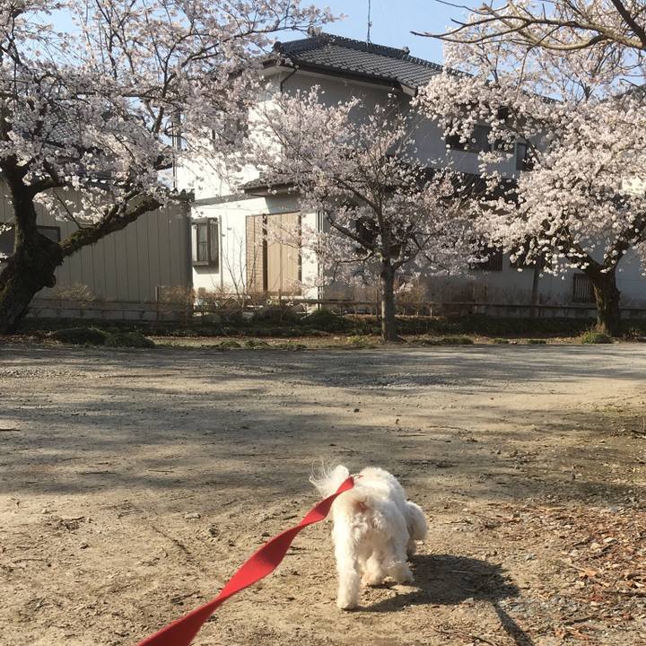 29ac6fa6 e411 42a3 99f7 85486cc30ba5 1522409527327