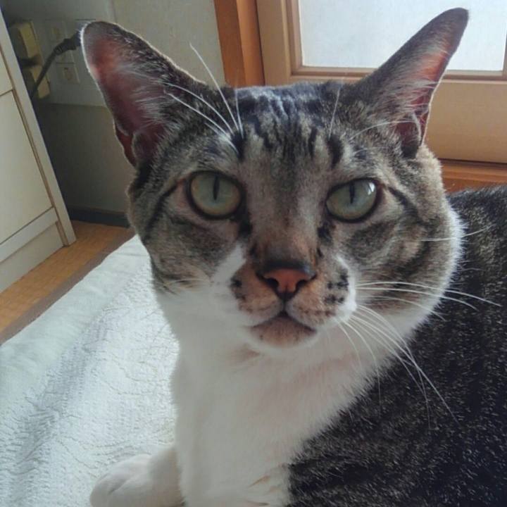 29ac9e02 297f 41bc 957c f4d6200c8851 1508287964537