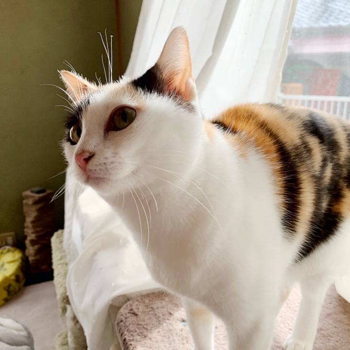 29acc6a9 b639 4b57 9836 d01c12a19d64 1542247318266