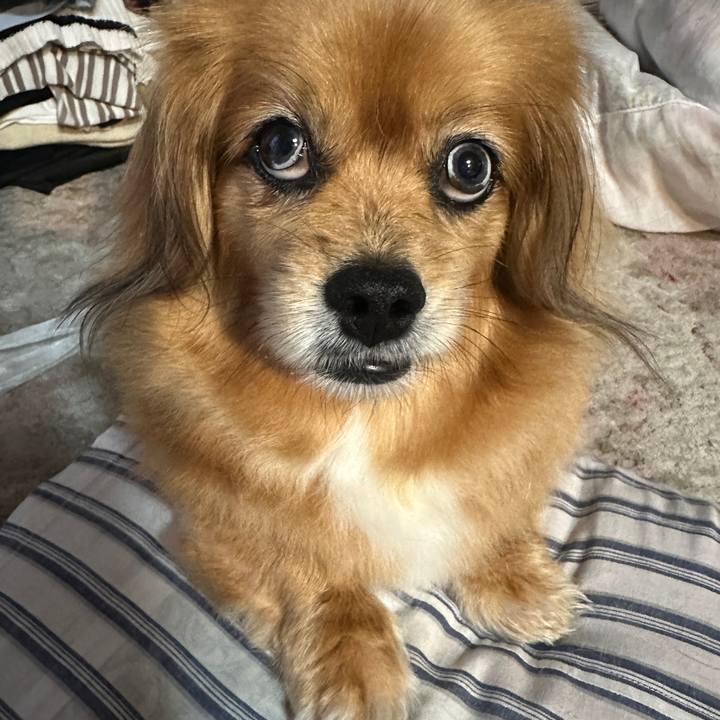 29ad41f4 51b3 4c43 a6cc 5c578d41d17b 1716843195085