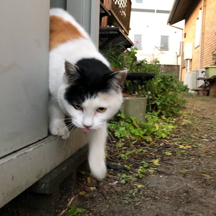 29ad6c15 cd37 4c8a 89d7 6966cea97b85 1609281322129